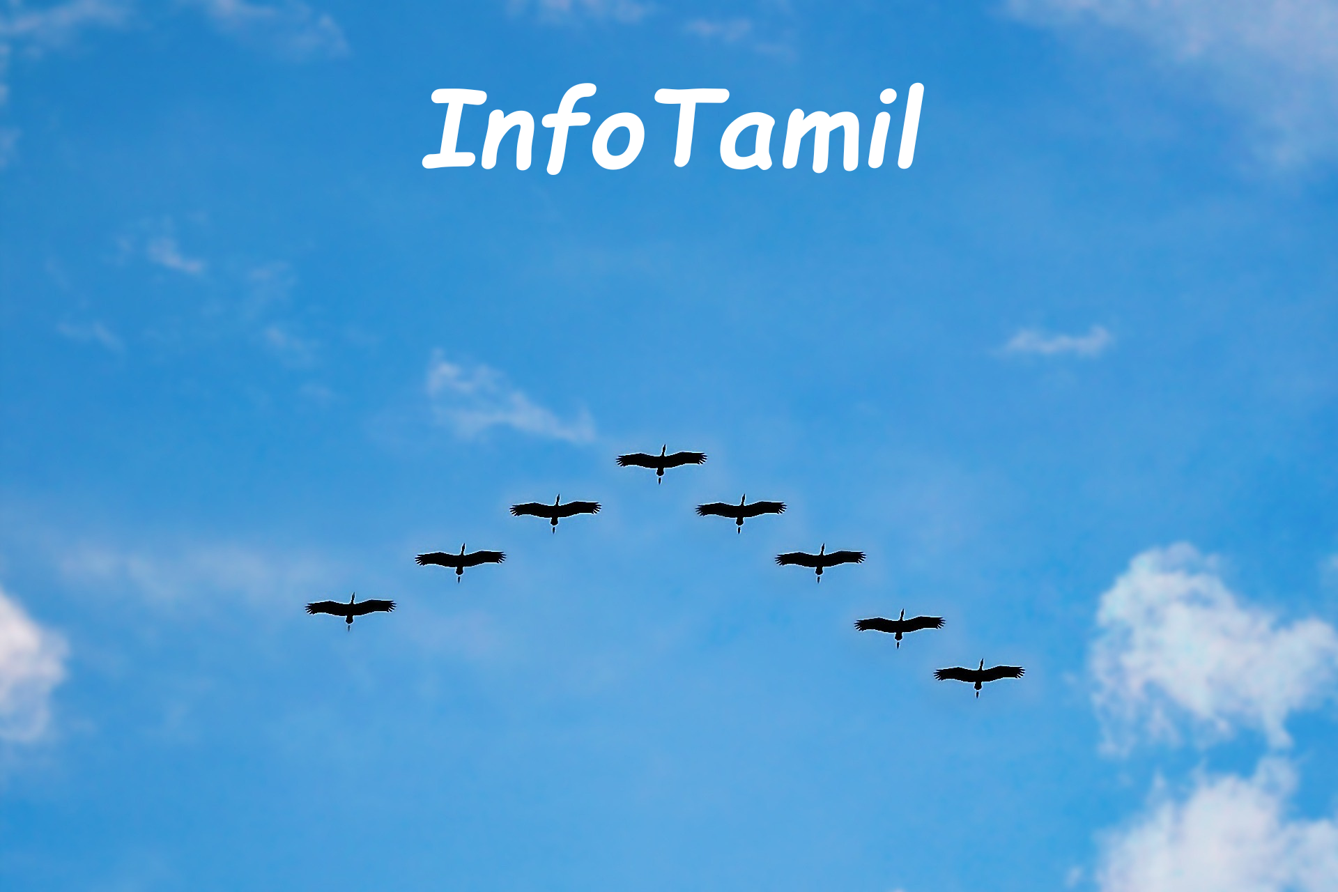 InfoTamil Events Photo